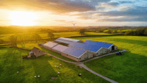 Farm Site Remediation